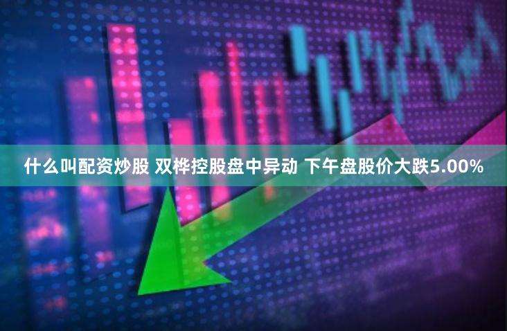 什么叫配资炒股 双桦控股盘中异动 下午盘股价大跌5.00%